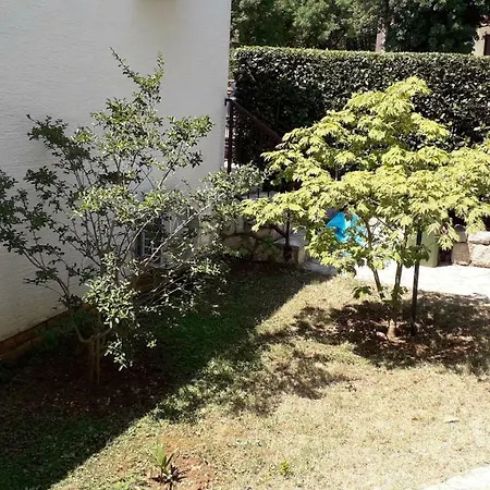 Apartmán Svjeta