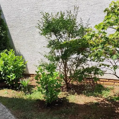 Apartman Svjeta